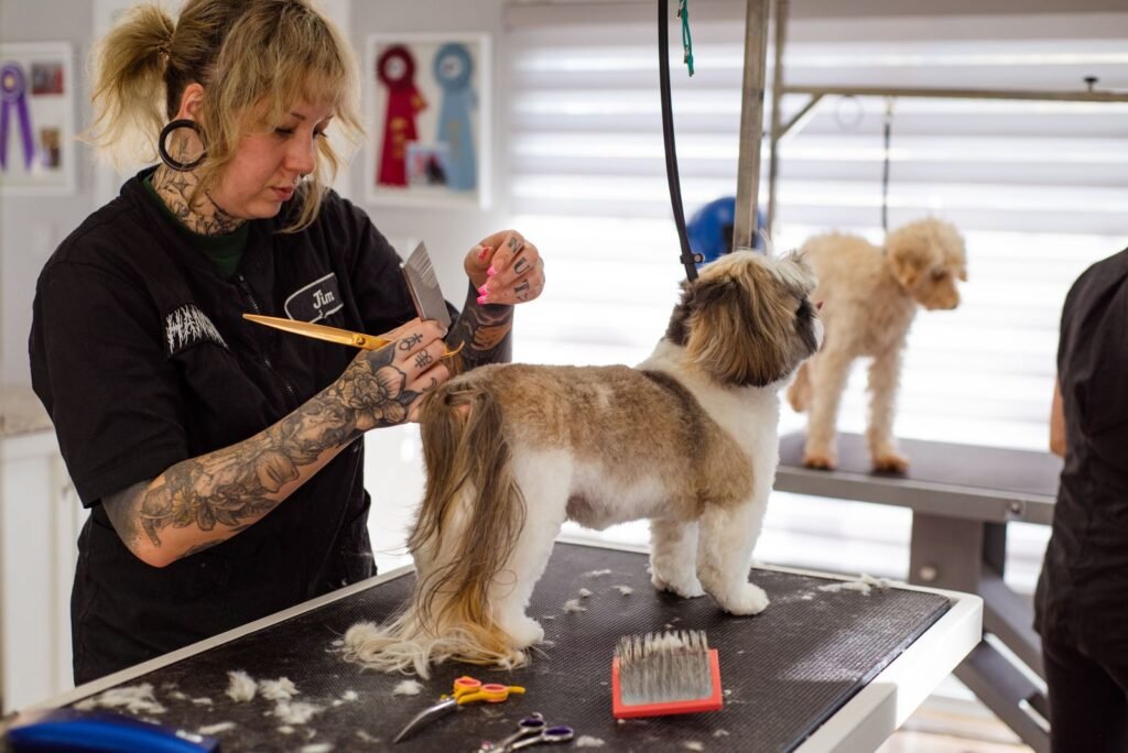 A professional groomer trimming a Shih Tzu on a grooming table in a salon.