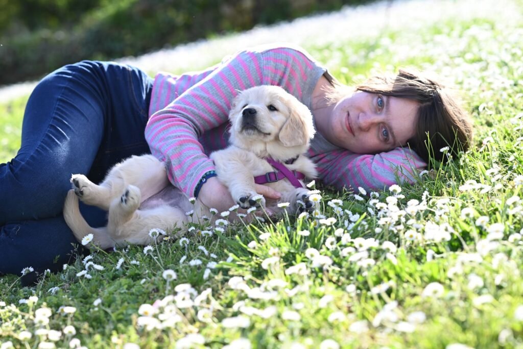 A relaxed Golden Retriever puppy being gently held by its owner in a meadow.