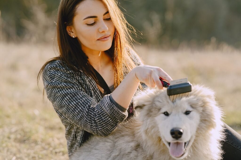 A woman brushing her long-haired dog's coat outdoors in the sun.