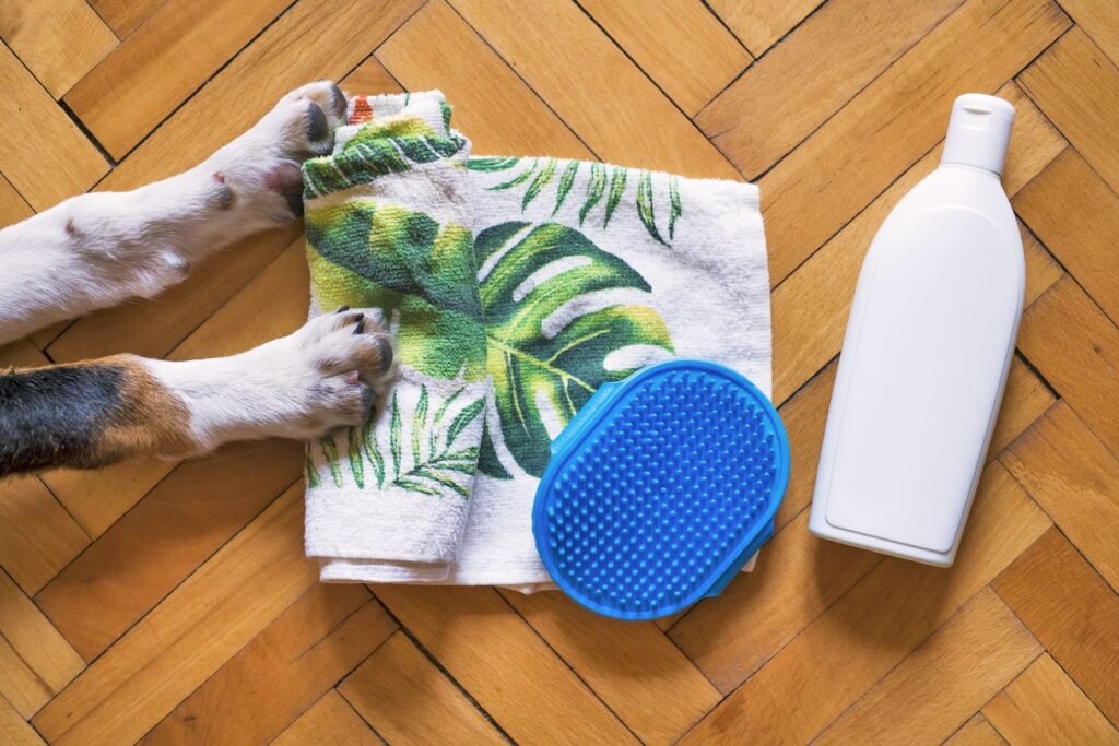 A dog's paws on a towel beside a rubber grooming brush and a bottle of shampoo.